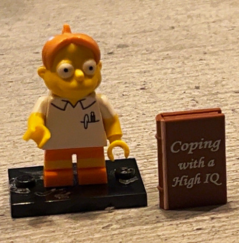 Lego the simpsons martin - lego,